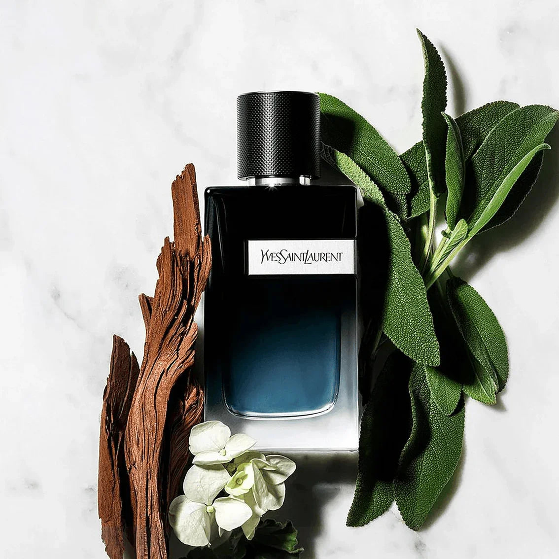 Eau de Parfum YSL*Y for men - 100ml, image 3