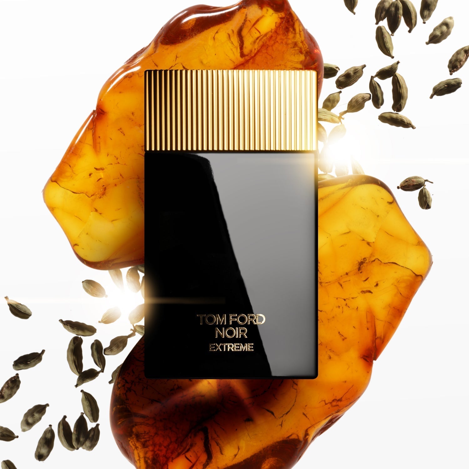 Tom Ford  Noir EDP Extreme • 100ml