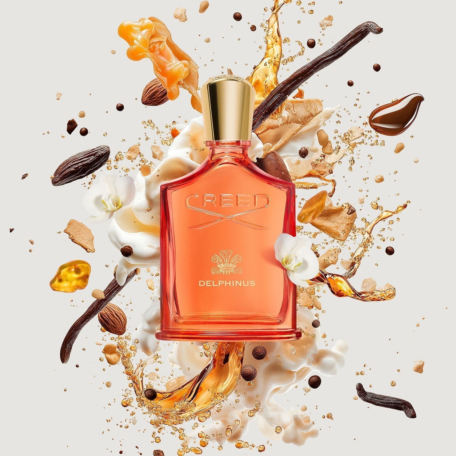creed delphinus • 100ml