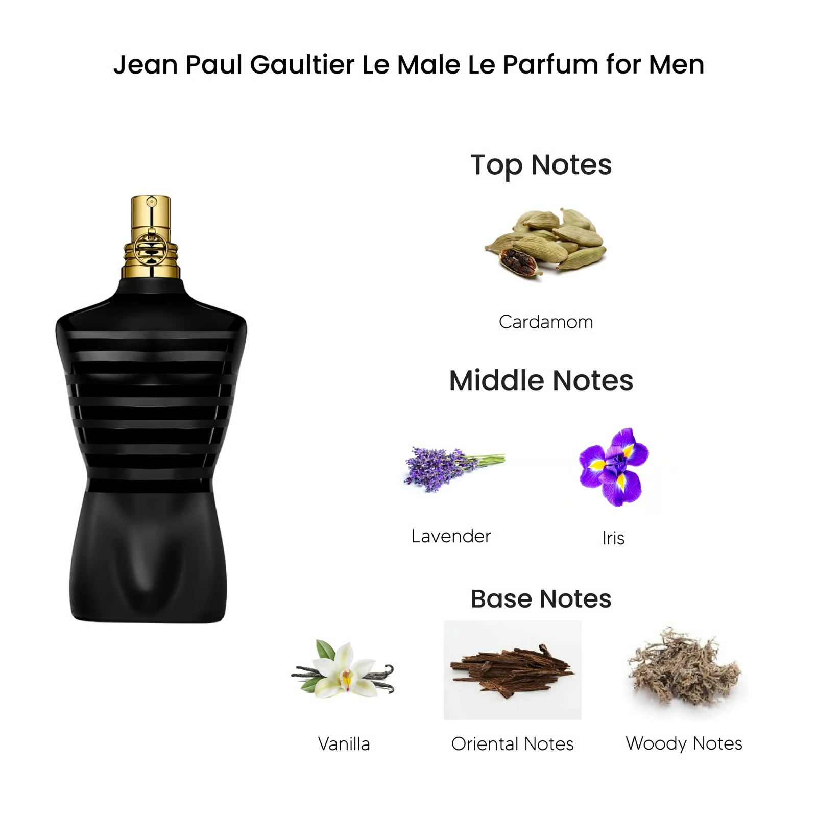 Jean Poul Gaultier Le Male Le Parfum - Box • 125ml